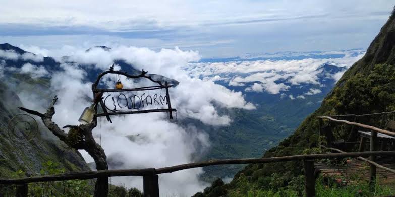 ellapatty camping munnar